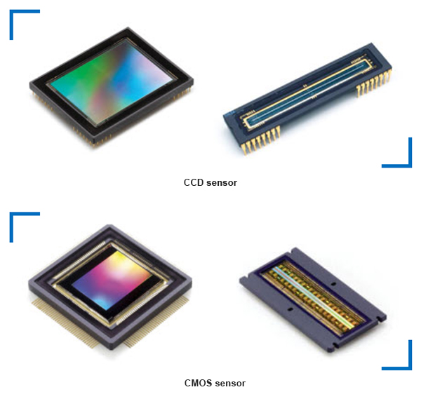 CCD sensor and CMOS sensor