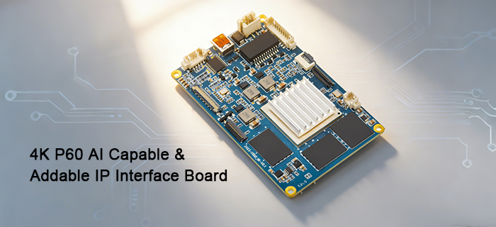 4KP60 AI network interface board