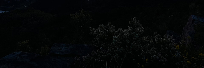This article is sufficient for understanding infrared, starlight, black light and full-color night vision cameras - Sony Camera Information - 3
