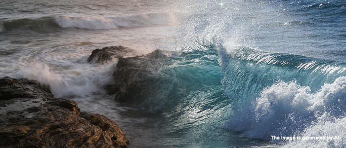 Sony FCB-ER9500 in shipborne systems-2