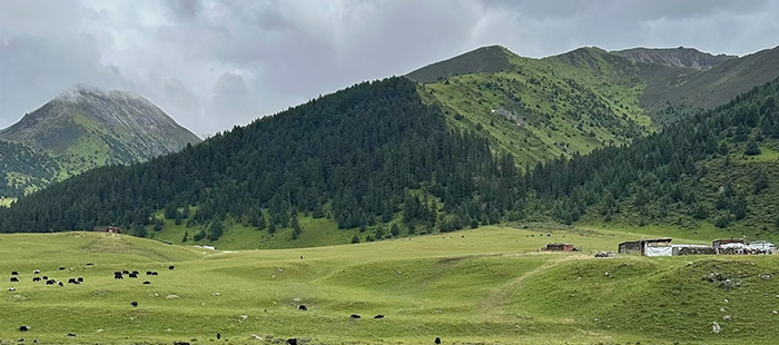 At the CPSE2025, Sony FCB-ER8530 will safeguard public safety with 4K resolution - Sony Camera Information - 3