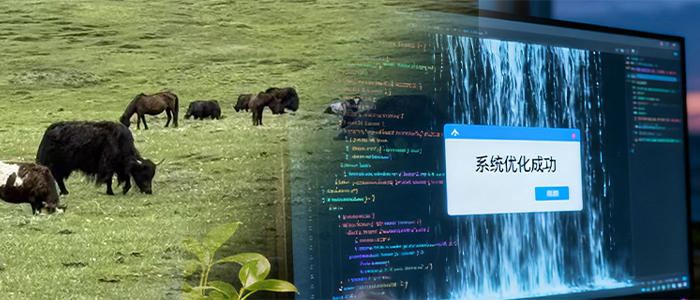 With scenarios and data, how can AI intelligence be applied to cameras? - Sony Camera Information - 2