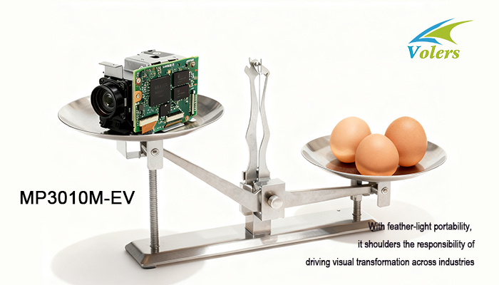 mp3010m-ev VS. egg