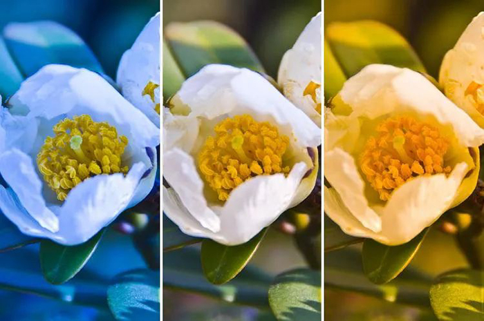 What is white balance in SONY FCB cameras? - Sony Camera Information - 2