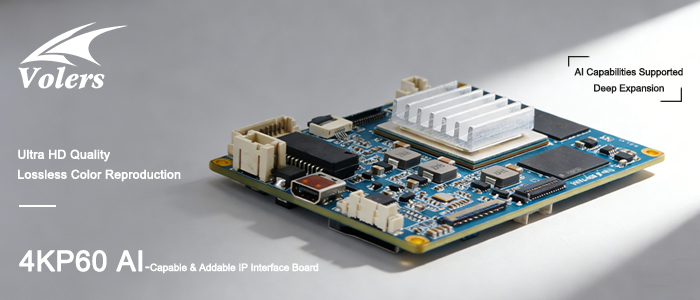 4KP60 AI Network interface Board: Unlocks Dual Video Signal Output and Intelligent Recognition-3
