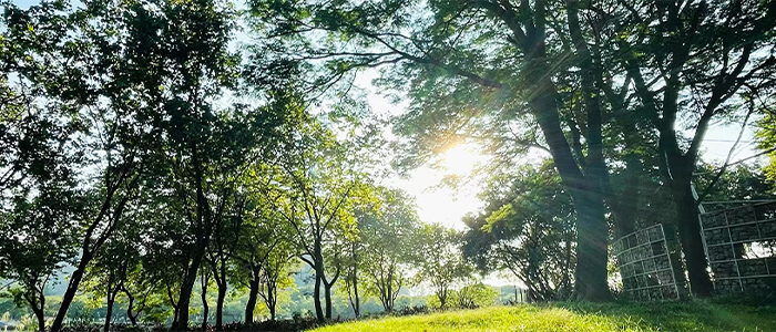 For the same 1/1.8 type sensor, how to choose the Sony FCB-9500 series model for security monitoring? - Sony Camera Information - 2