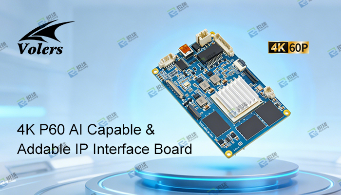 4K P60 AI network interface board